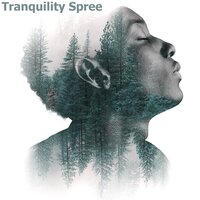 Soul Discovery - Relaxing Instrumental Music & Tranquility Spa Universe & Tranquility Spree