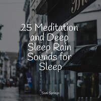 Raindrop Shower - Natureza Musica Bem-Estar Academia & Rain Sounds Rain & Meditation & Stress Relief Therapy