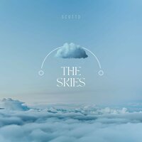 Every Night - Scotto