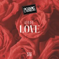I Feel Love - Robbie Carrigan & Mauro Mozart