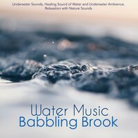 Follow Your Dreams - Underwater Sounds Specialists