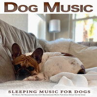 Instrumental Music For Dogs - Dog Music & Music for Dog's Ears & Sleeping Music For Dogs