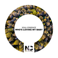 Who's Loving My Baby - Soul Essence & Nu Ground Foundation