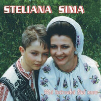 Mi-a Spus Un Cobzar Pe Strune - Steliana Sima