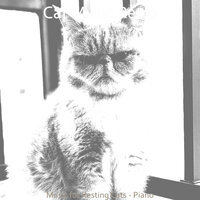Marvellous Resting Cats - Cat Music Retro