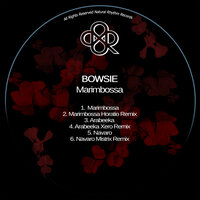 Navaro - Bowsie