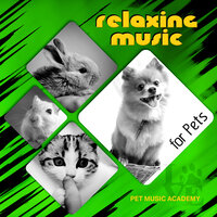 Just Relax - Pet Music Academy