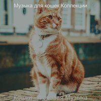 Атмосфера (Расслабляющие кошки) - Музыка для кошек Коллекции