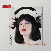 Untitled - Suede