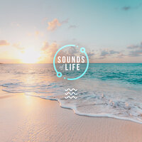 Calm Beach, Pt. 52 - Sounds Of Life