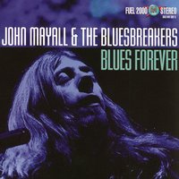 Wild About You - John Mayall & The Bluesbreakers