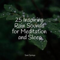 Rainy Roads - Ambient Nature Project & Chakra Balancing Sound Therapy & Active Baby Music Workshop
