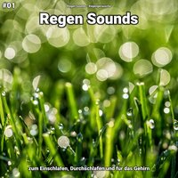 Regen Sounds, pt. 78 - Regen Sounds & Regengeräusche