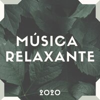 Respire Fundo - Felipe Natureza Lima