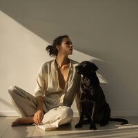 Drones De Ensueño Para El Descanso De Los Perros - Perros dormidos & Sol del Milenio & Analogía de la comedia