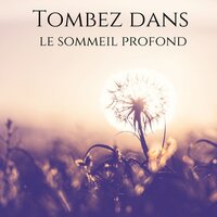 Harmonie nocturne - Meditation Music Zone