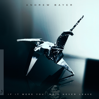 All This Will Happen Again - Andrew Bayer