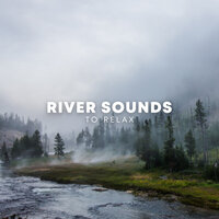 River Rain - Nature Sounds Nature Music