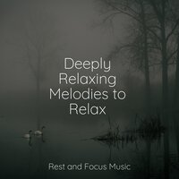 Ocean's Lapping - Sleep Sound Library & Tinnitus Aid & Alpha Waves