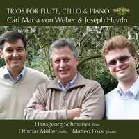 Joseph Haydn: Trio in G HXV15: II. Andante: II. Andante - Йозеф Гайдн & Hansgeorg Schmeiser & Othmar Müller & Matteo Fossi