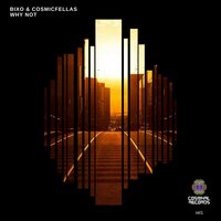 About House - Bixo, Cosmicfellas & Bixo & Cosmicfellas