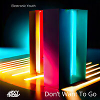 Don't Want To Go - Electronic Youth