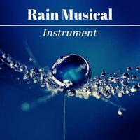 Meditating In The Rain - Rainforest Music Lullabies Ensemble