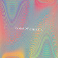 Crisantemo - Luis Alberto Spinetta
