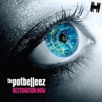 Shake It - The Potbelleez