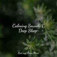 Peaceful River Waters - Musica Reiki & Massagem Coleção de Músicas & Amazing Spa Music