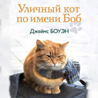 Джеймс Боуэн. «Уличный кот по имени Боб. Как человек и кот обрели надежду на улицах Лондона». Часть 9 - Дмитрий Креминский