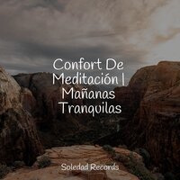 Sonidos Internos - Meditacion & Masaje Relajante Masters & Musica relajante