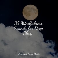 Perfect Petunias - Pet Care Music Therapy & Relaxamento & Música Zen Relaxante
