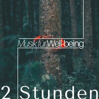 Beruhigende Musik - Franka Traum & Yoga Music Maestro & Yoga Music Maestro & Franka Traum