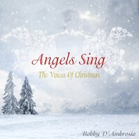 What Christmas Was Meant To Be - Bobby D'Ambrosio & Chez "G"