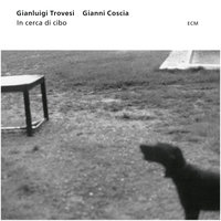 Pinocchio - In Groppa Al Tonno (forte) - Gianluigi Trovesi & Gianni Coscia