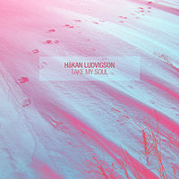 Take My Soul - Hakan Ludvigson & Håkan Lidbo
