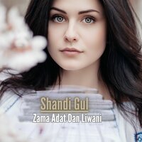 Di Mo Nayat Pa Wazh Di Wo - Shandi Gul Mizarwal
