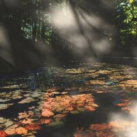 Stones In The River Bed - Donna Lewis & David Baron & Delia Derbyshire Appreciation Society