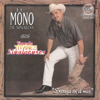 El Jefe - El Mono de Sinaloa