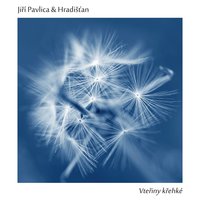 Když ona hrozny trhala - Jiří Pavlica & Hradišťan