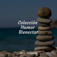 Flujo Fresco Del Caribe - Relajante & Relajación Meditar Academie & Dulces Sueños