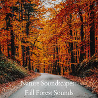 Morning Drizzle and Wind - The Nature Soundscapes & Ocean Sounds & Dog Spa Music Paradise
