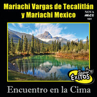 Mirando Una Estrella - Mariachi Vargas de Tecalitlán