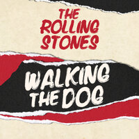 Monkey Man - The Rolling Stones