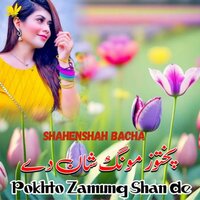 Pokhto Zamung Shan De - Shahenshah Bacha