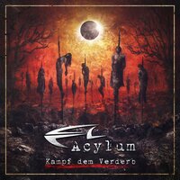 Masquerade - Acylum & Suicide Commando