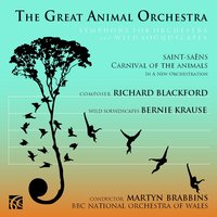 The Great Animal Orchestra Symphony: I. Introduction and Tuning - The BBC National Orchestra Of Wales