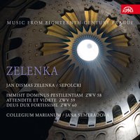 Immisit Dominus pestilentiam, ZWV 58: Recordare, Domine (Aria) - Jana Semeradova & Collegium Marianum & David Erler & Ян Дисмас Зеленка