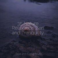 Responsibilities - Relaxing Music Therapy & Brain Study Music Guys & Reiki Music